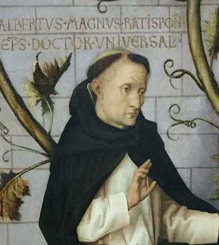 Albertus Magnus, Mönch und Gelehrter